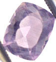 Scapolite Violette
