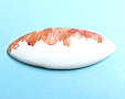 Scolecite Scolecite