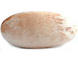 Scolecite
