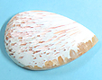 Scolecite
