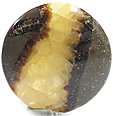 Septaria Septaria