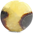 Septaria Septaria