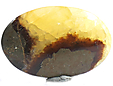 Septaria