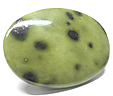 Serpentine Gu�pard