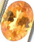 Grenat Mandarin