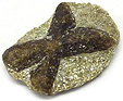 Staurolite