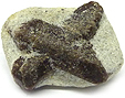 Staurolite