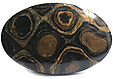 Stromatolite