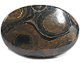 Stromatolite Stromatolite