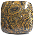 Stromatolite Stromatolite