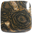 Stromatolite