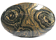 Stromatolite