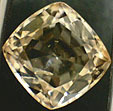 Topaze Champagne