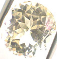 Topaze Champagne