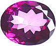 Topaze Rose