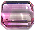 Tourmaline Bicolore