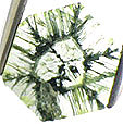 Tourmaline Trapiche