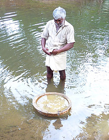 bat&eacute;e avec les graviers gemmif&egrave;res du Sri Lanka