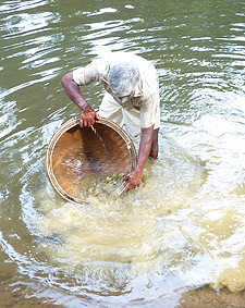 bat&eacute;e avec les graviers gemmif&egrave;res du Sri Lanka