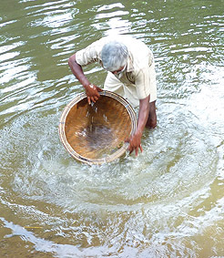 bat&eacute;e avec les graviers gemmif&egrave;res du Sri Lanka