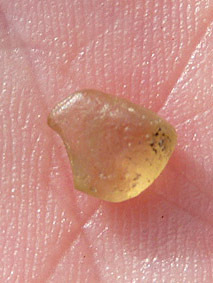 chrysob&eacute;ryl brut