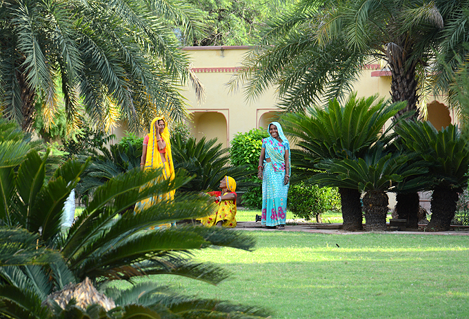 jardins jaipur